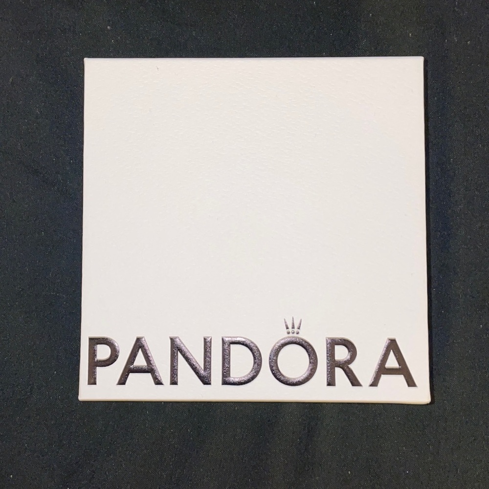 Selling brand-new Pandora charms only used twice comes with original package